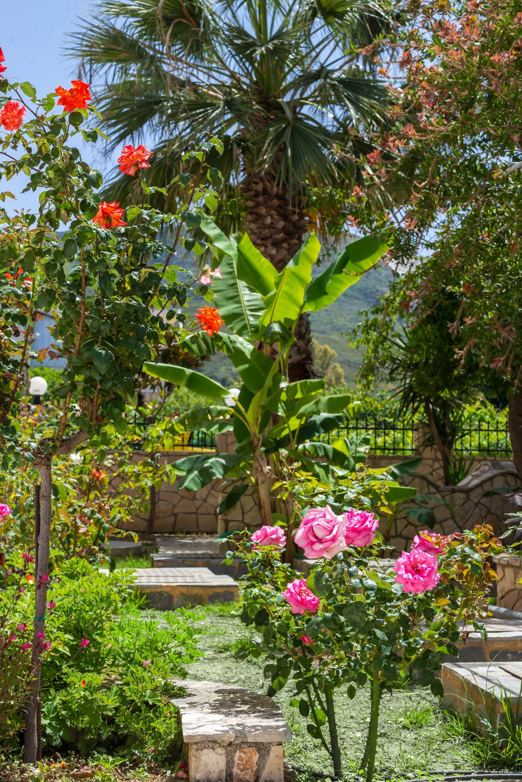 Athina Apartments ไซคิย์นธอสทาวน์ ภายนอก รูปภาพ